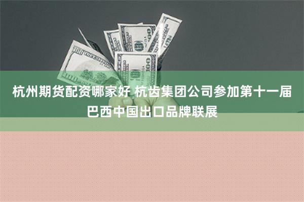 杭州期货配资哪家好 杭齿集团公司参加第十一届巴西中国出口品牌联展