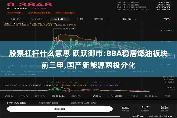 股票杠杆什么意思 跃跃御市:BBA稳居燃油板块前三甲,国产新能源两极分化