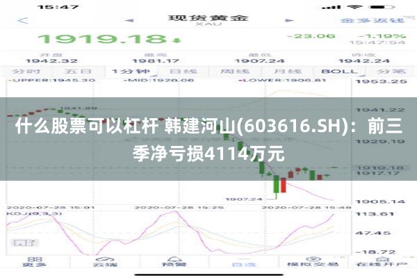 什么股票可以杠杆 韩建河山(603616.SH)：前三季净亏损4114万元