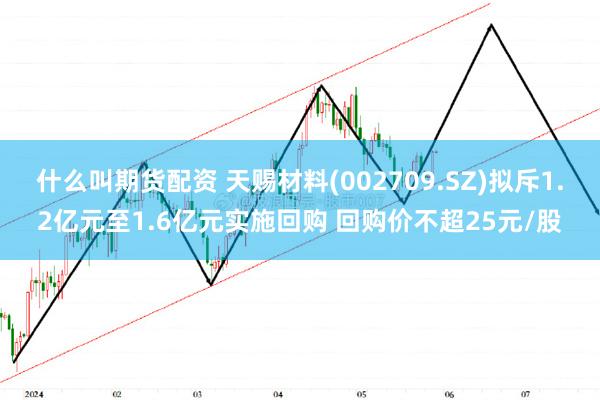 什么叫期货配资 天赐材料(002709.SZ)拟斥1.2亿元至1.6亿元实施回购 回购价不超25元/股