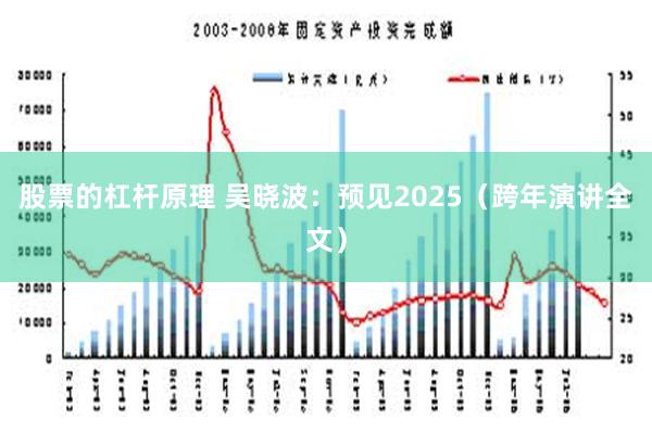 股票的杠杆原理 吴晓波：预见2025（跨年演讲全文）